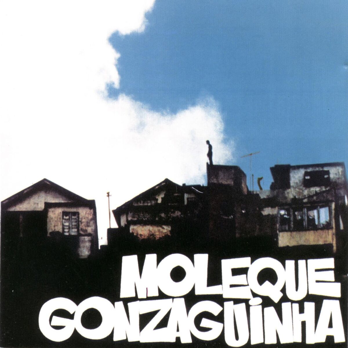 Album cover of Moleque Gonzaguinha