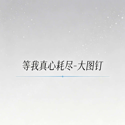 等我真心耗尽