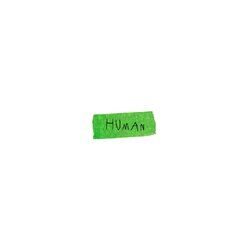 Cover of HUMAN (Deluxe) [Live]