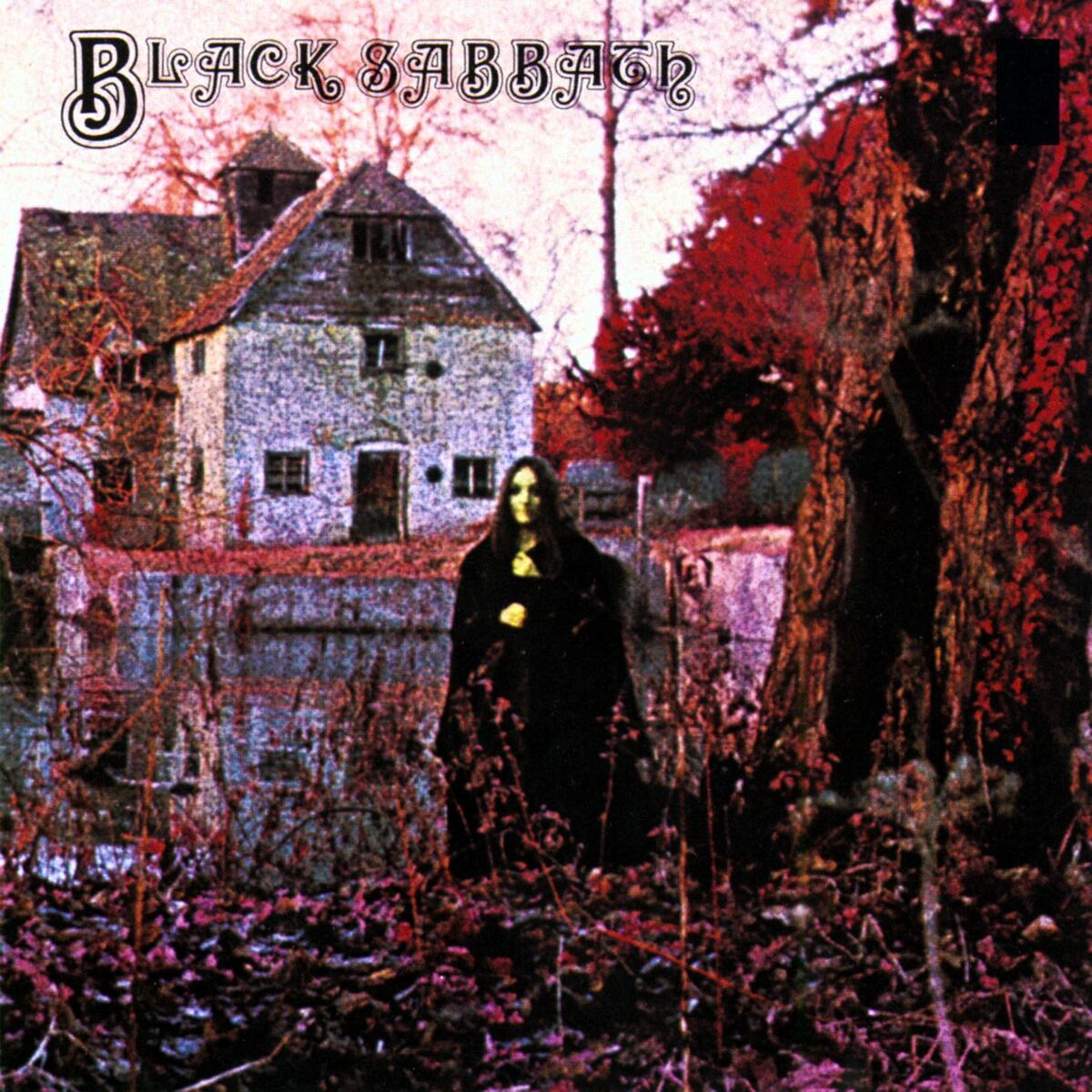 Album cover of The Wizard