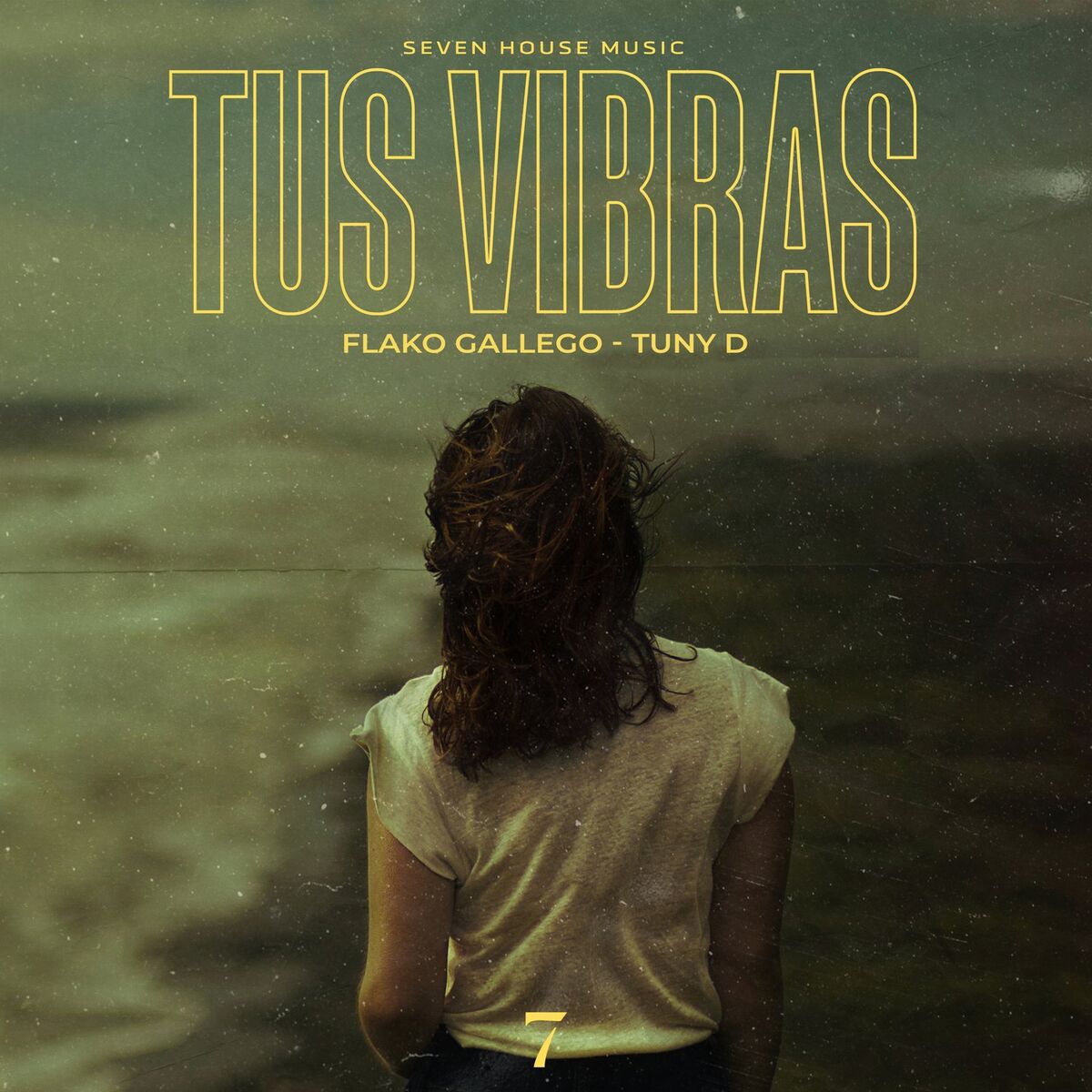Album cover of Tus Vibras