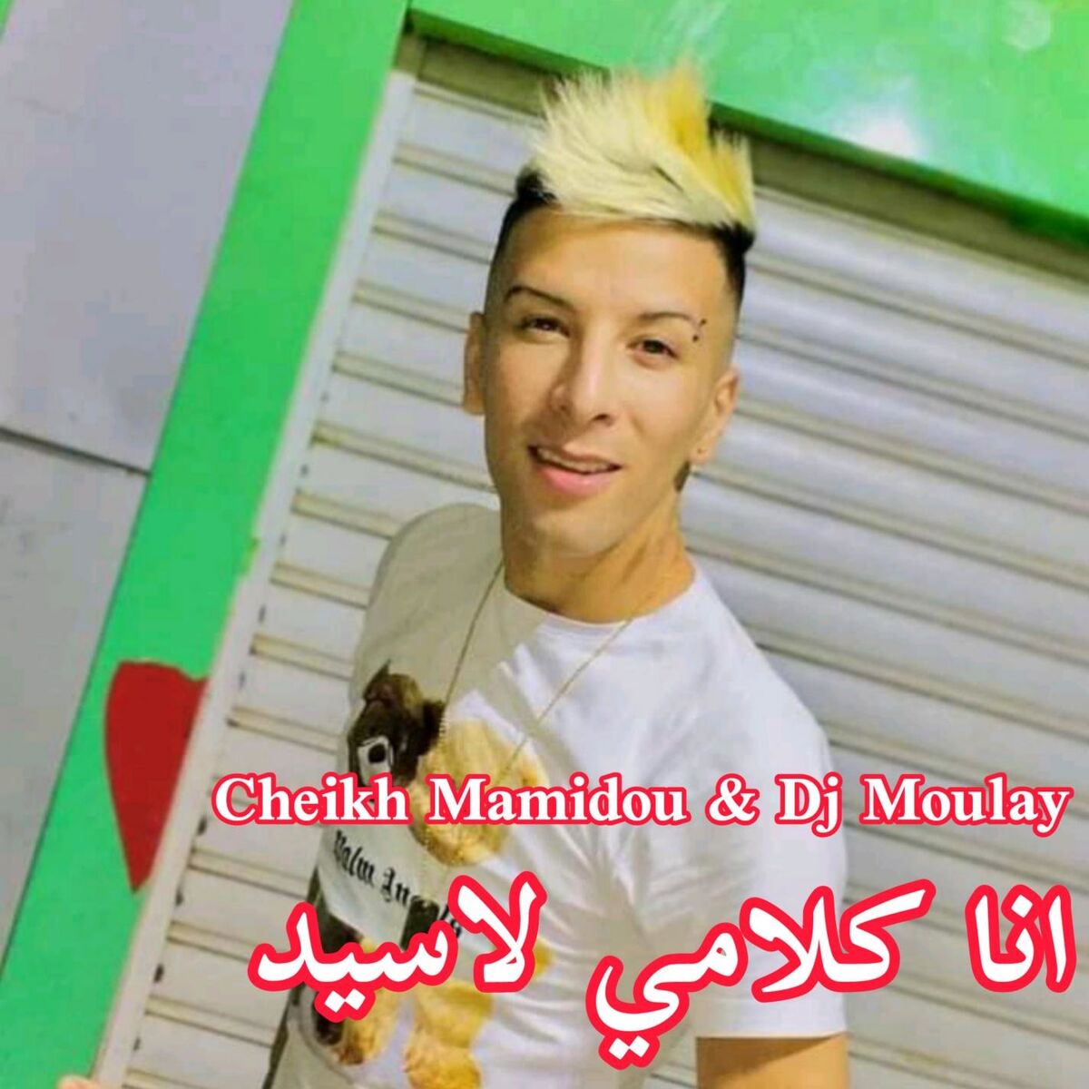 Album cover of Cheikh Mamidou