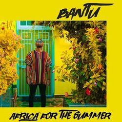 Cover of Africa for the Summer