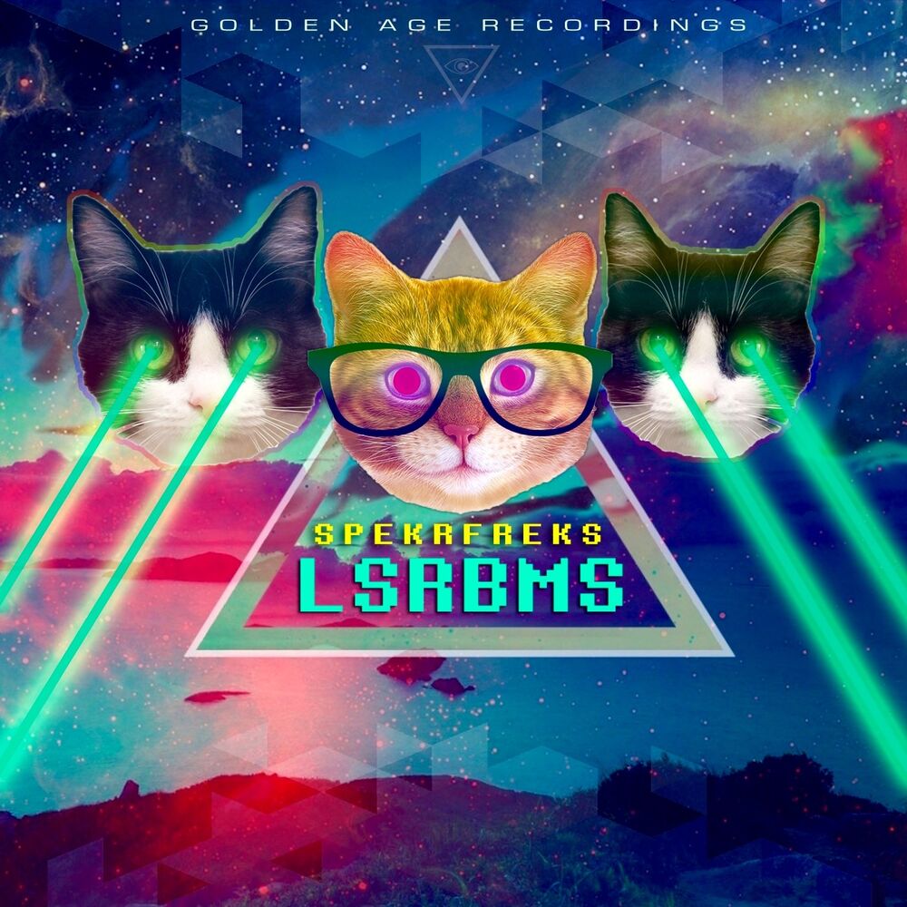 Picture of LSRBMS
