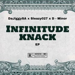 Cover of Infinitude Knack