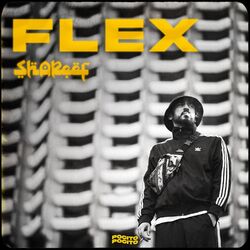 Cover of Flex