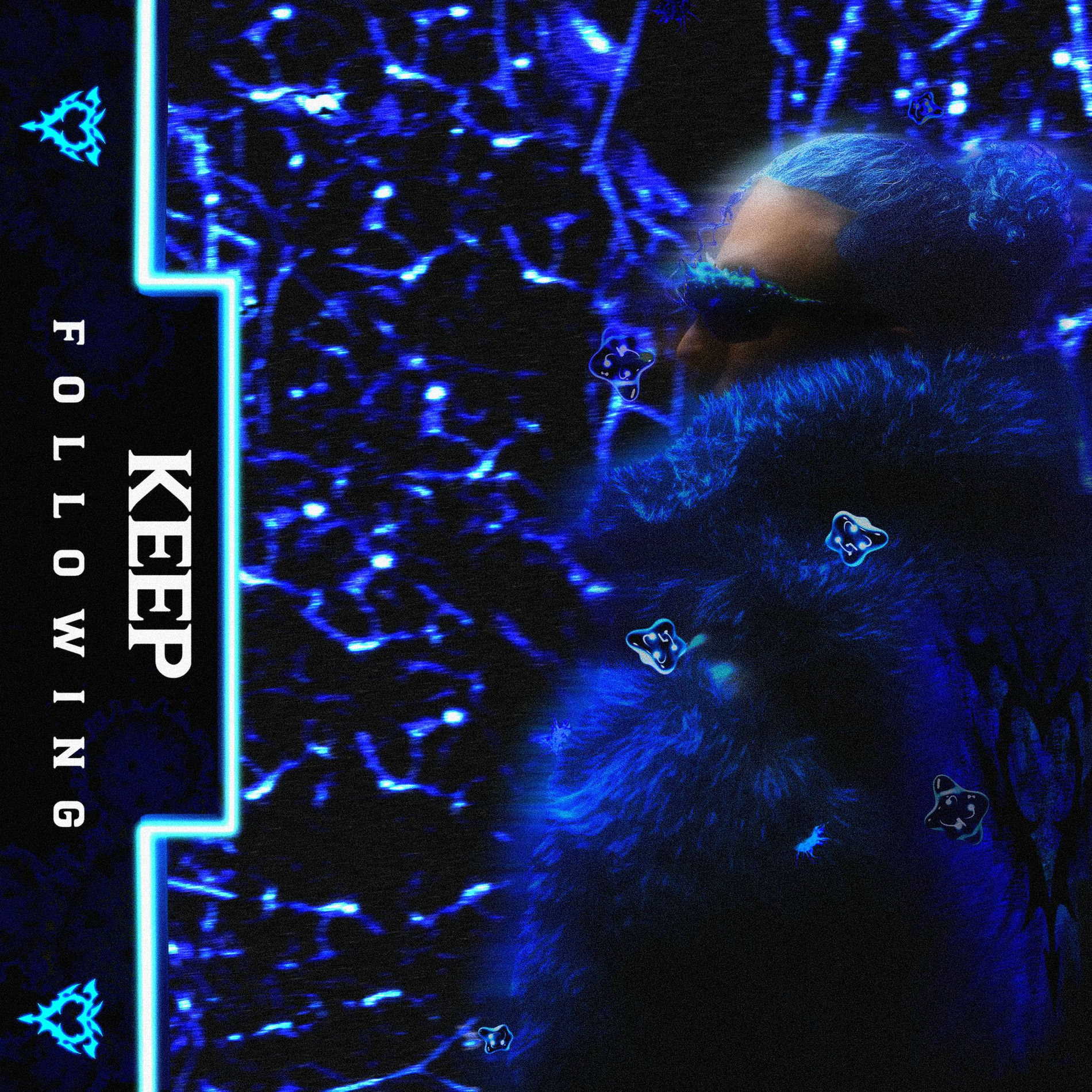 Album cover of KEEP FOLLOWING
