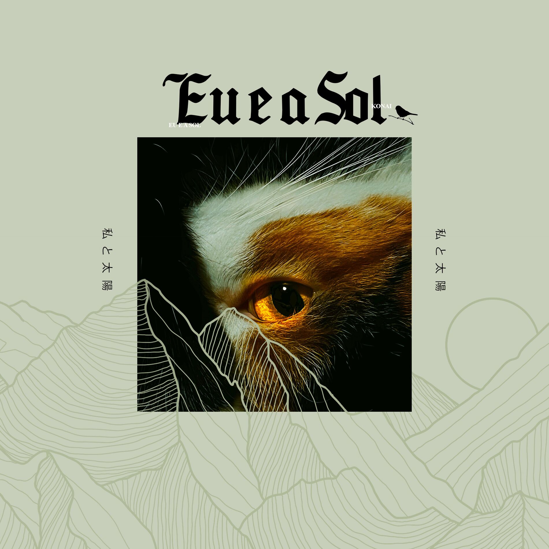 Album cover of Eu e a Sol