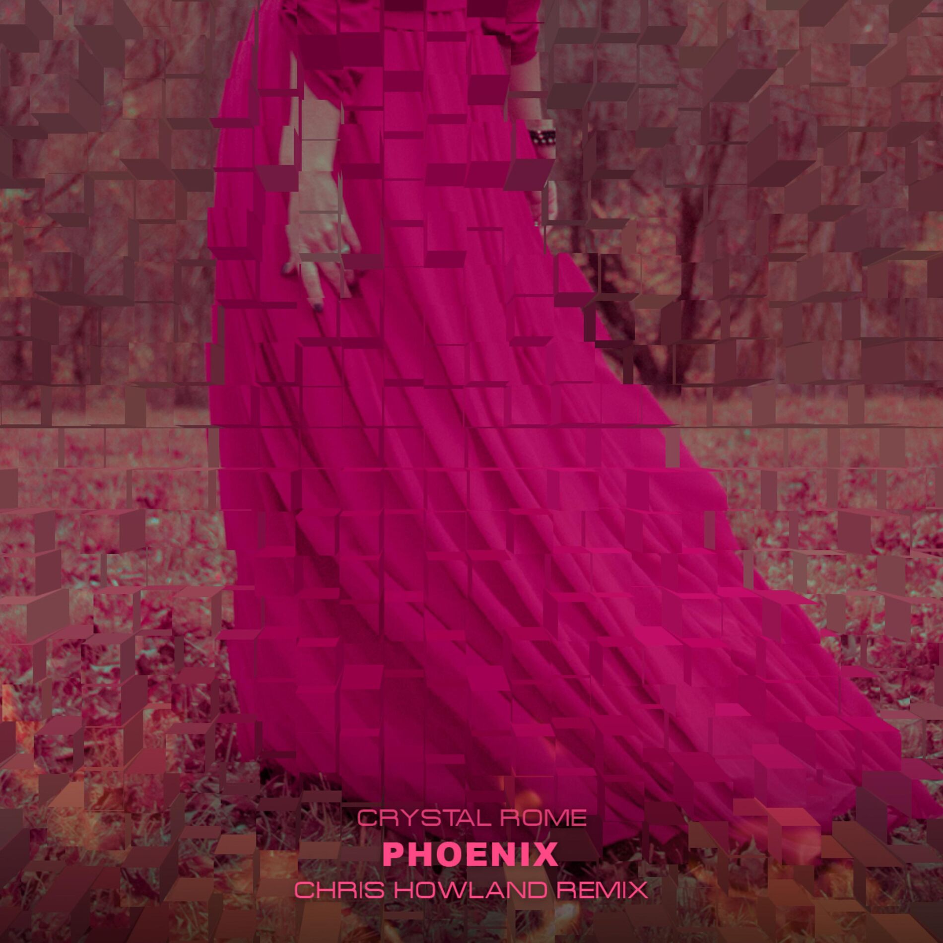Album cover of Phoenix