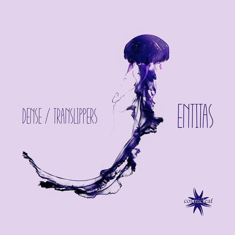 Picture of Entitas