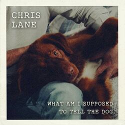 Cover of What Am I Supposed To Tell The Dog