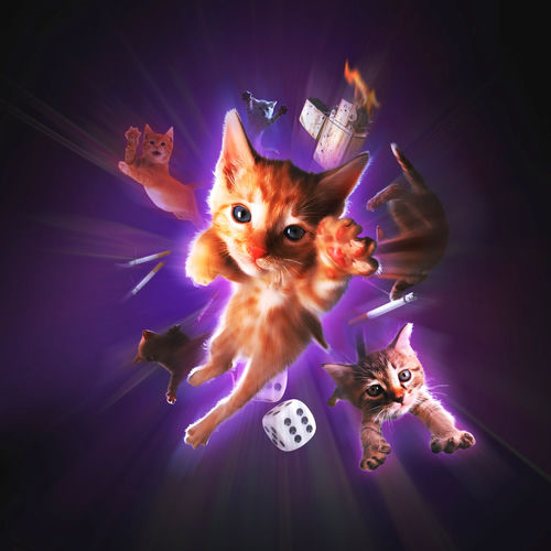 MIGATAMIGATO