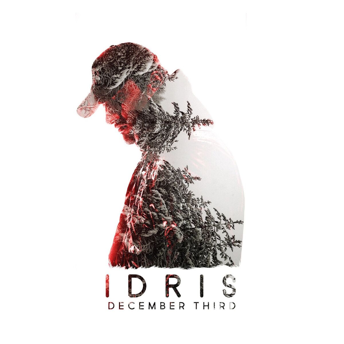 Album cover of December Third