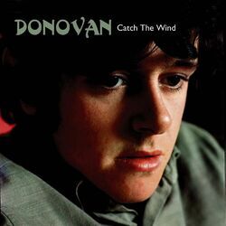 Cover of Catch the Wind