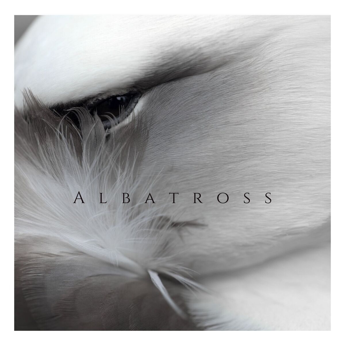 Album cover of Albatross