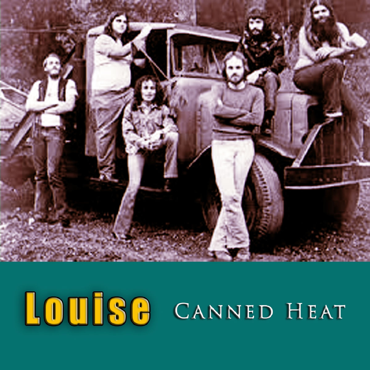 Album cover of Dust My Broom
