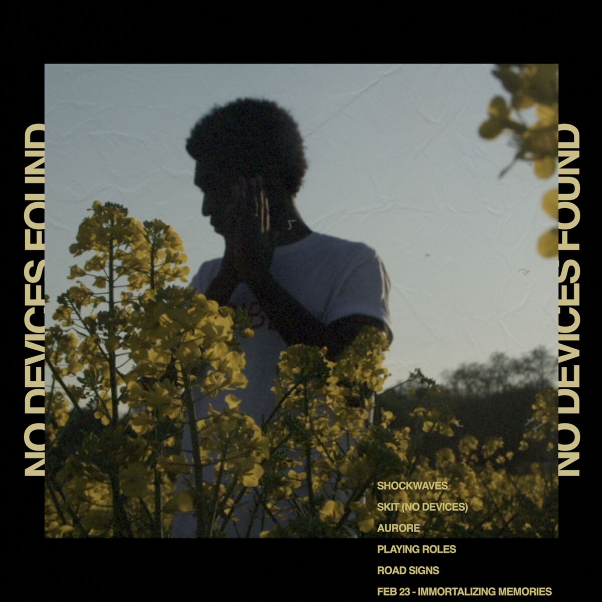 Album cover of No Devices Found