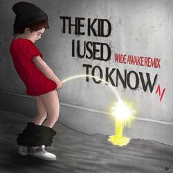 Cover of The Kid I Used to Know (WiDE AWAKE Remix)