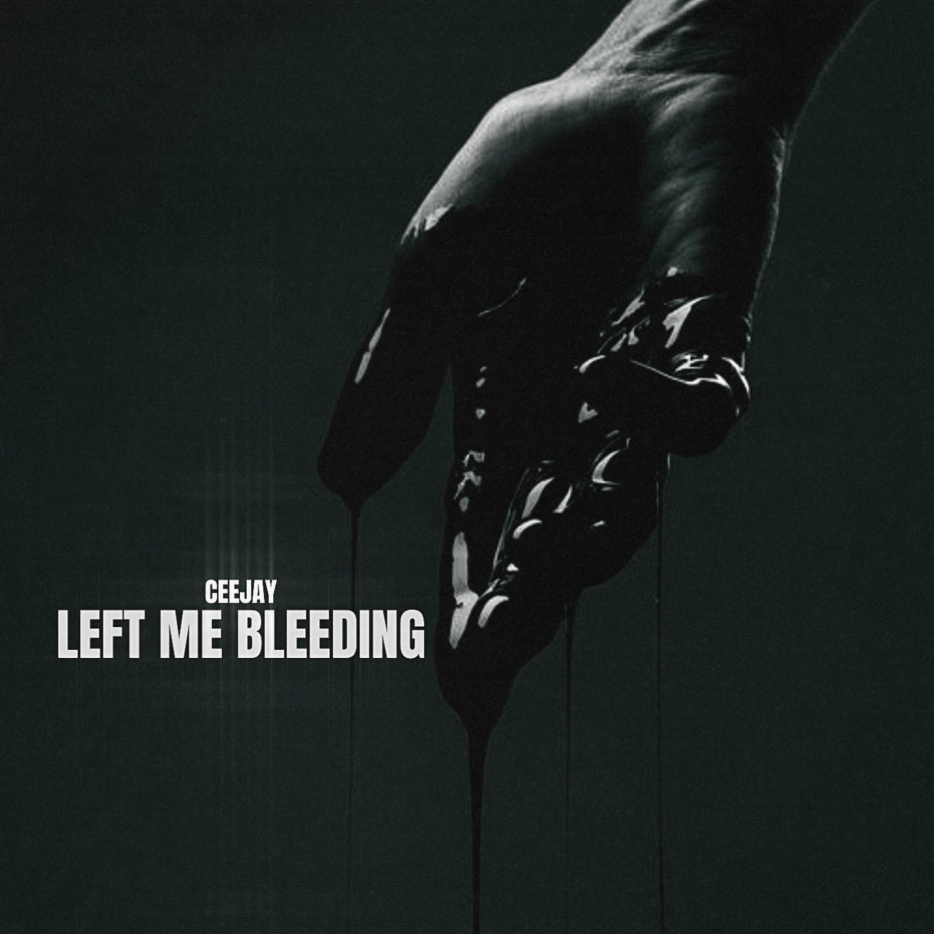 Album cover of Left Me Bleeding
