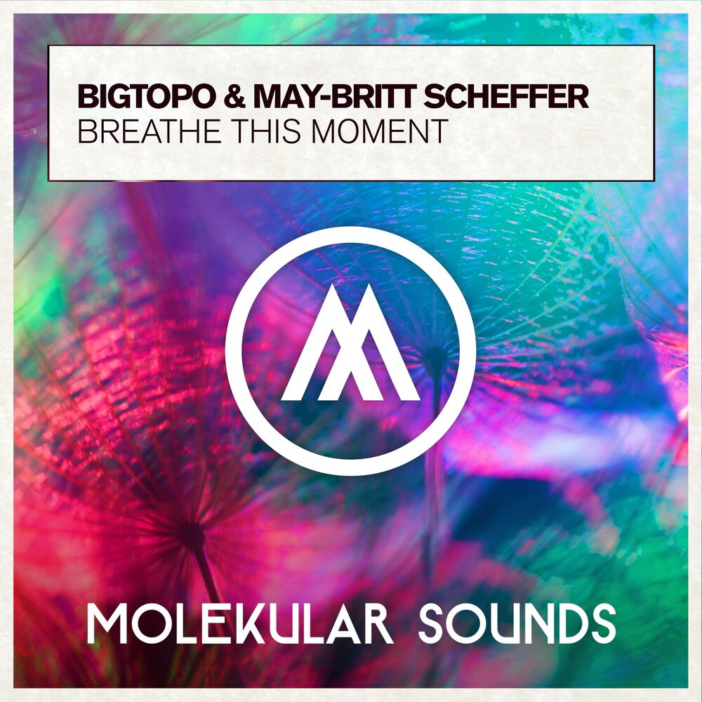 Picture of Breathe This Moment
