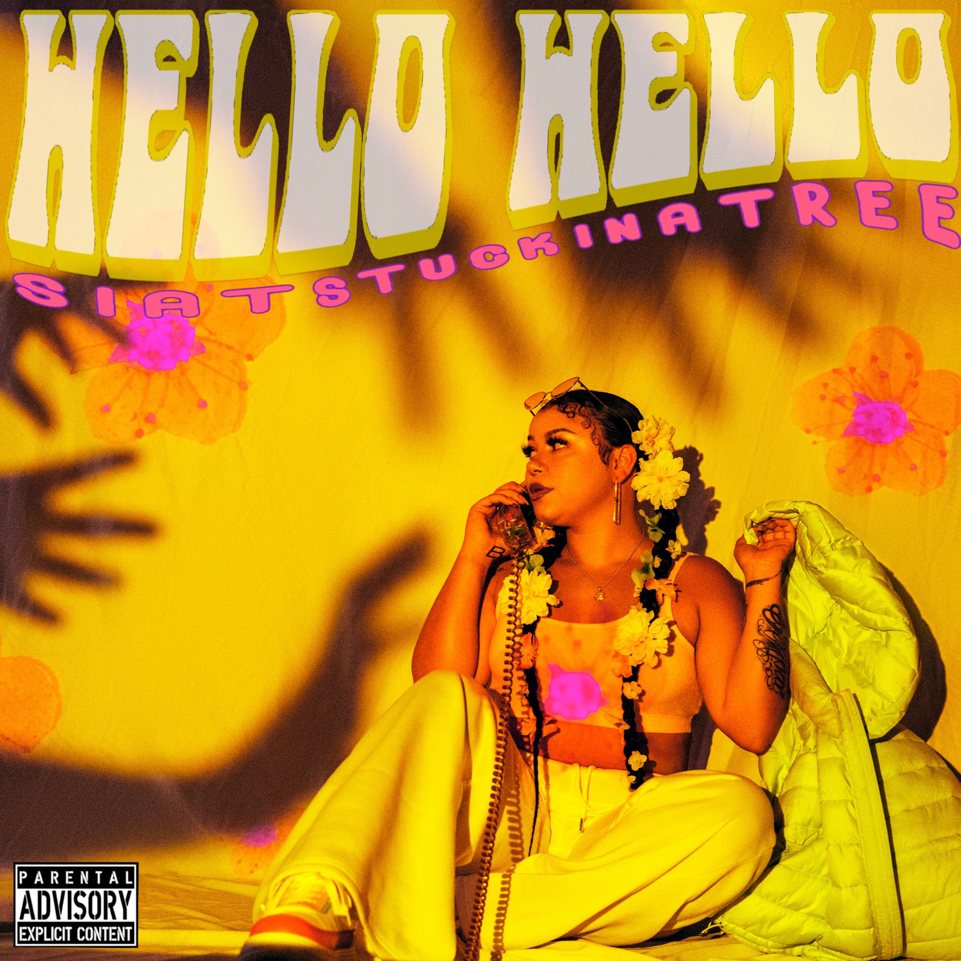 Album cover of Hello Hello