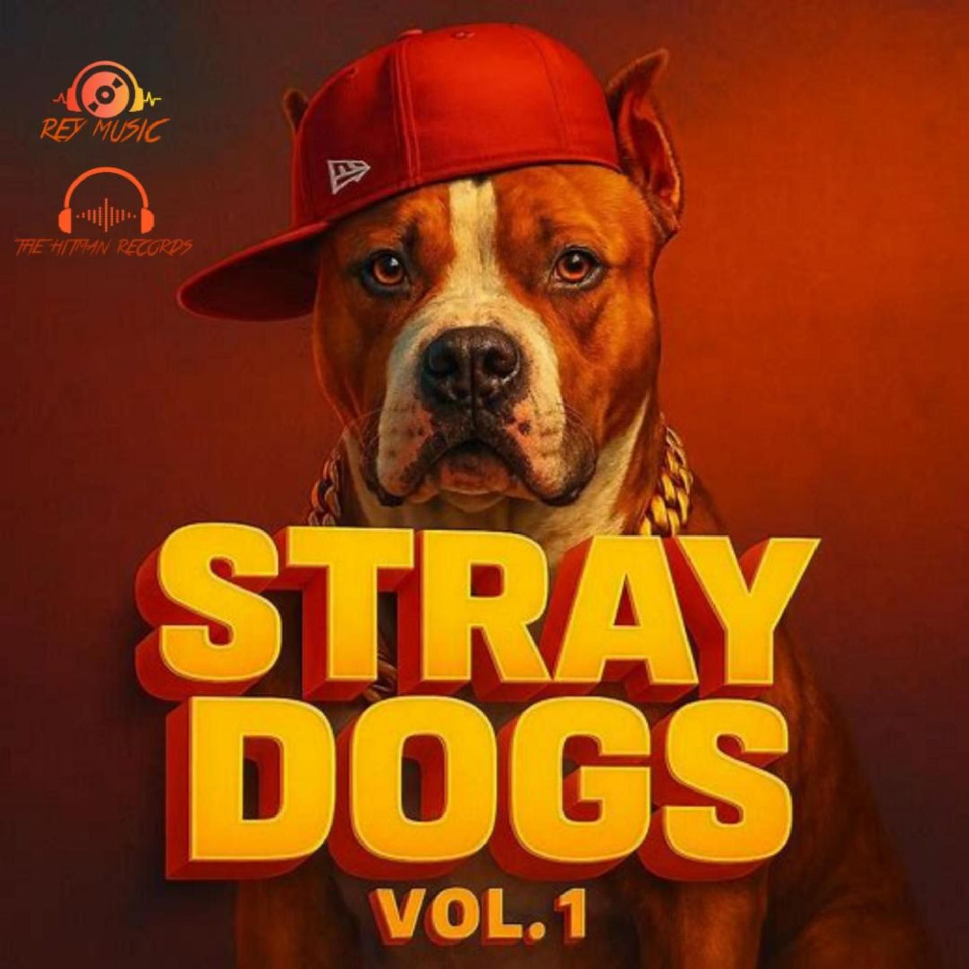 Album cover of STRAY DOGS, Vol. 1 (feat. CABU, Santi king, Aterrante, Letal max, Mr William, Valentino flow, YAIL EL FLOW INMINENTE, KENNEDY, BLA