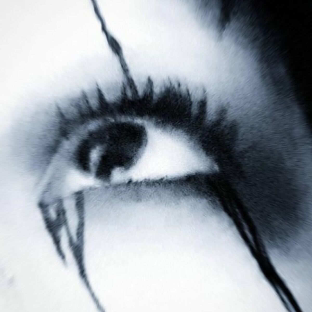 Album cover of High Fvshion