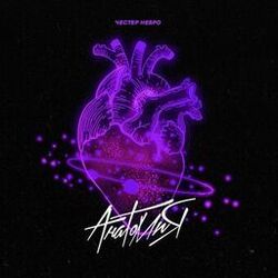 Cover of Анатомия