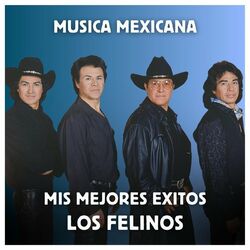 Cover of Música Mexicana - Mis Mejores Exitos