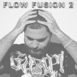 Cover of Flow Fusion 2