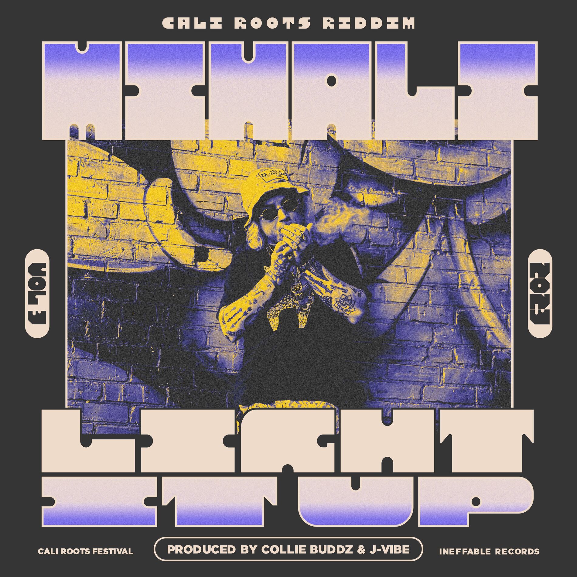Album cover of Light It Up