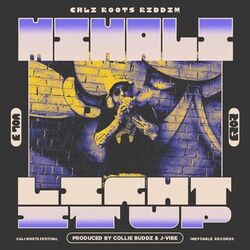 Cover of Light It Up