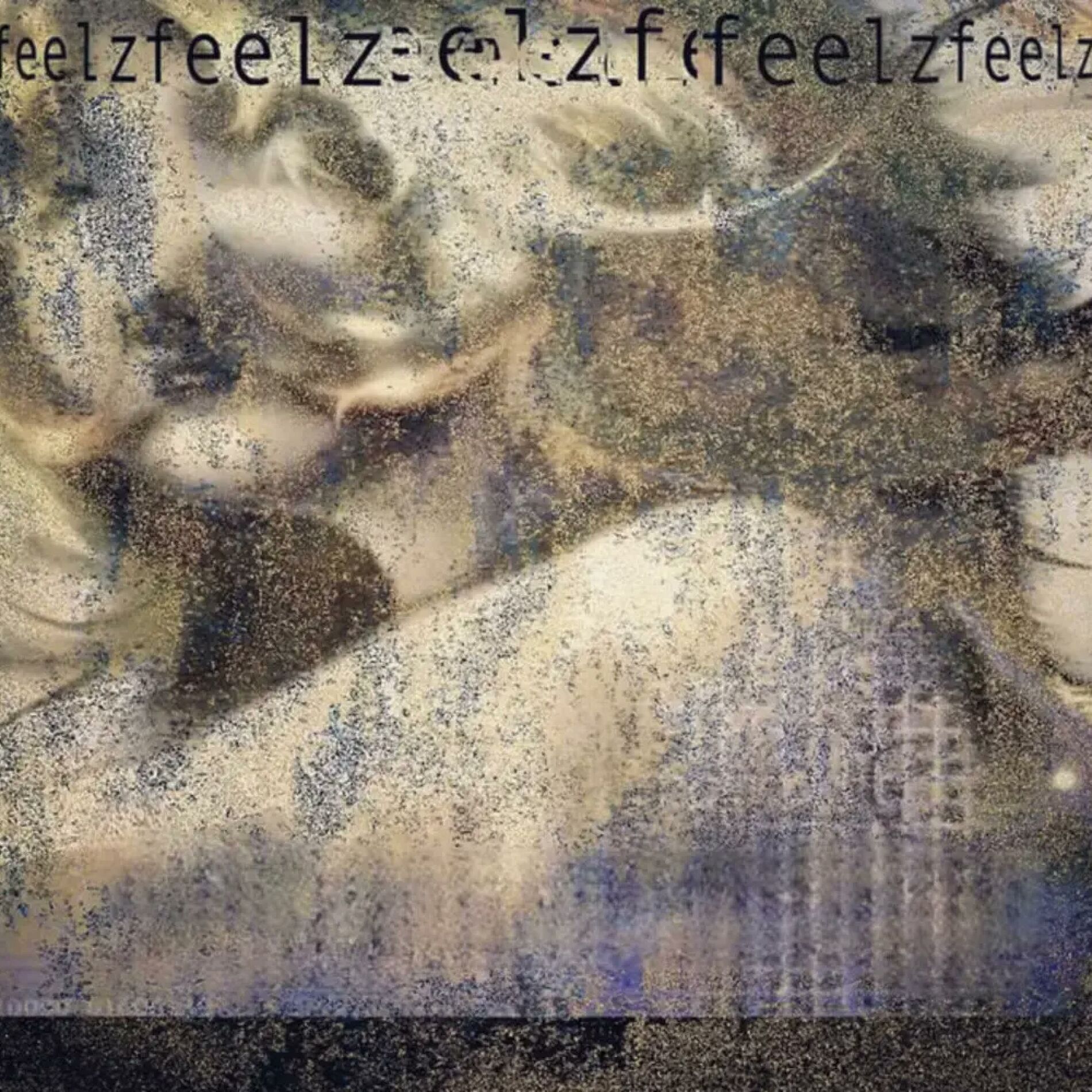 Album cover of feelz
