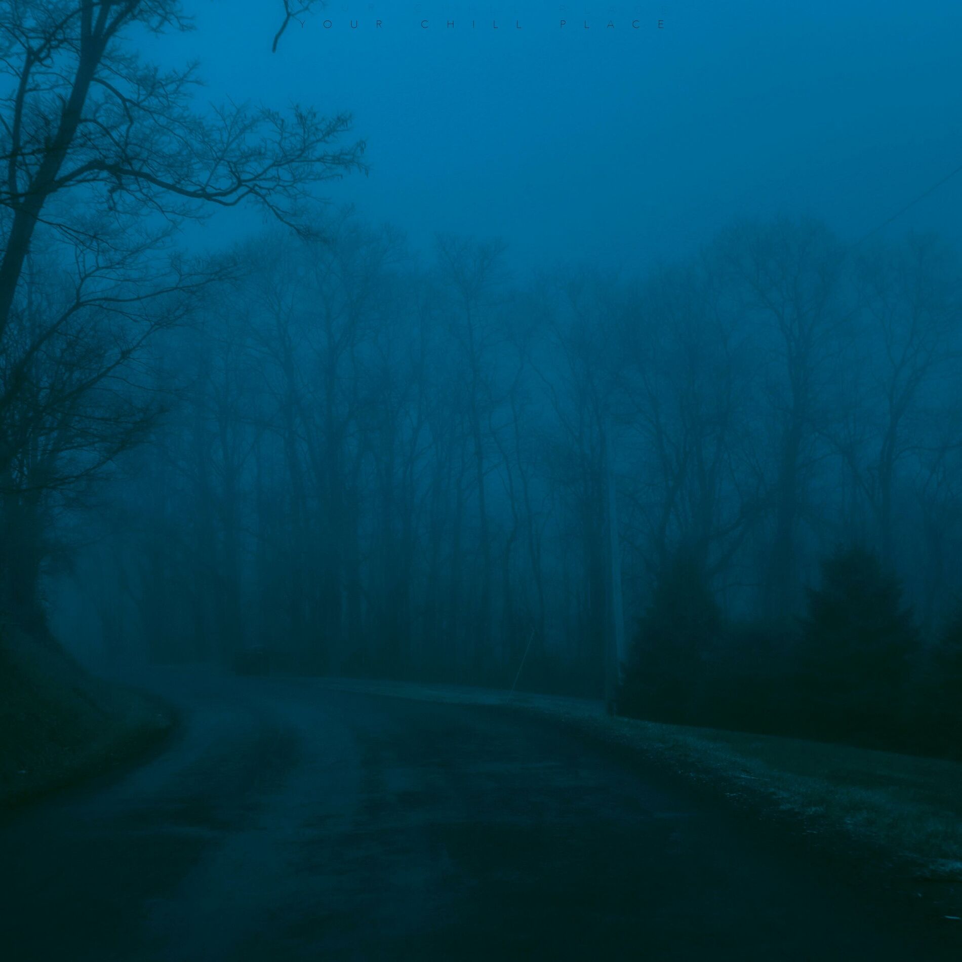 Album cover of Dreamy Nights