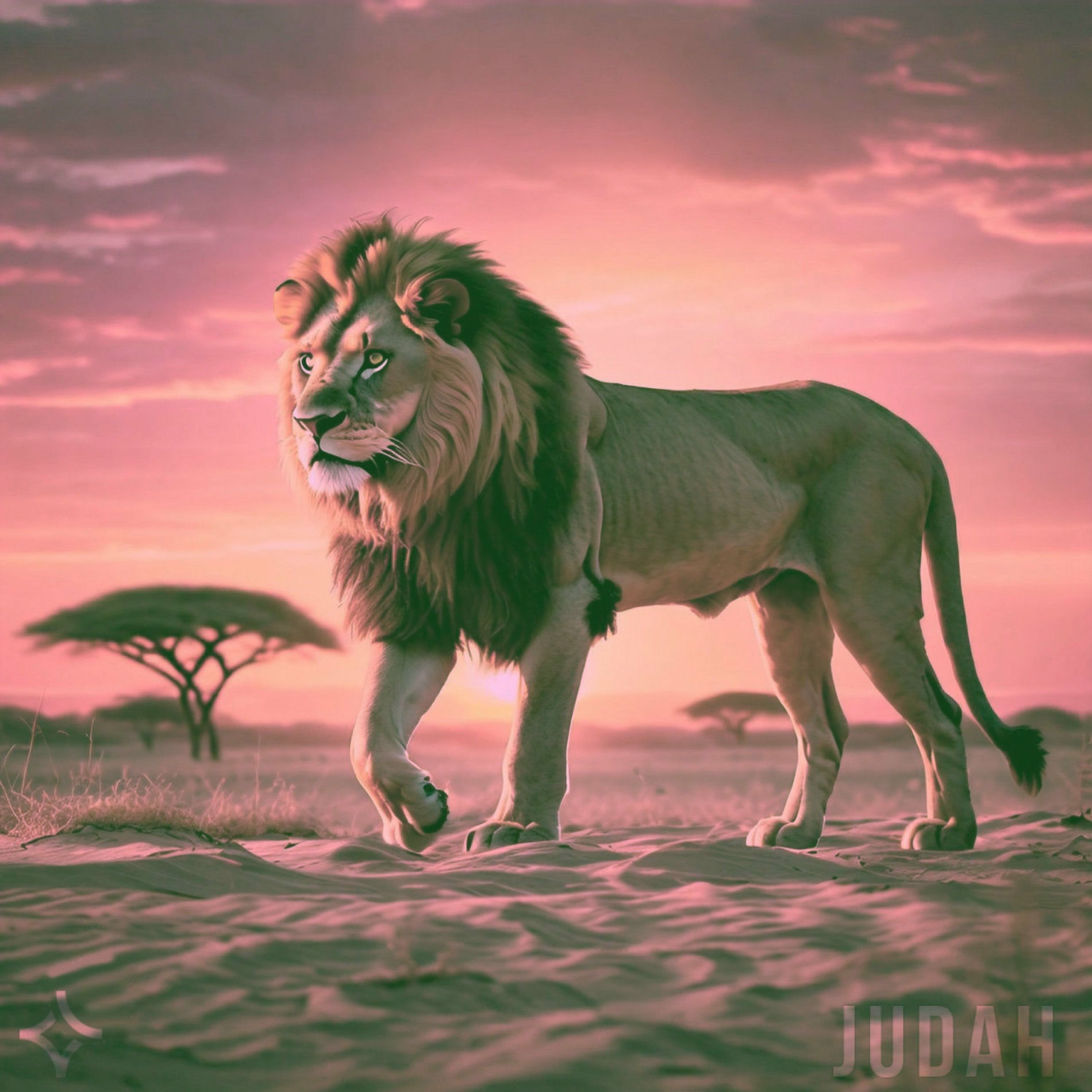 Album cover of Judah