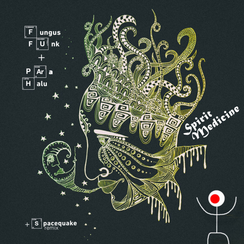 Picture of Spirit Medicine