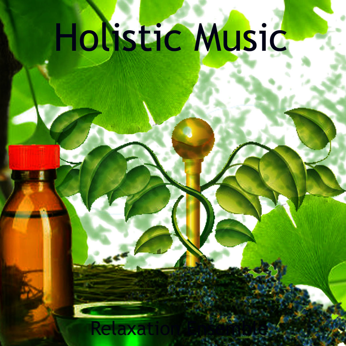 Album cover of Holistic Music
