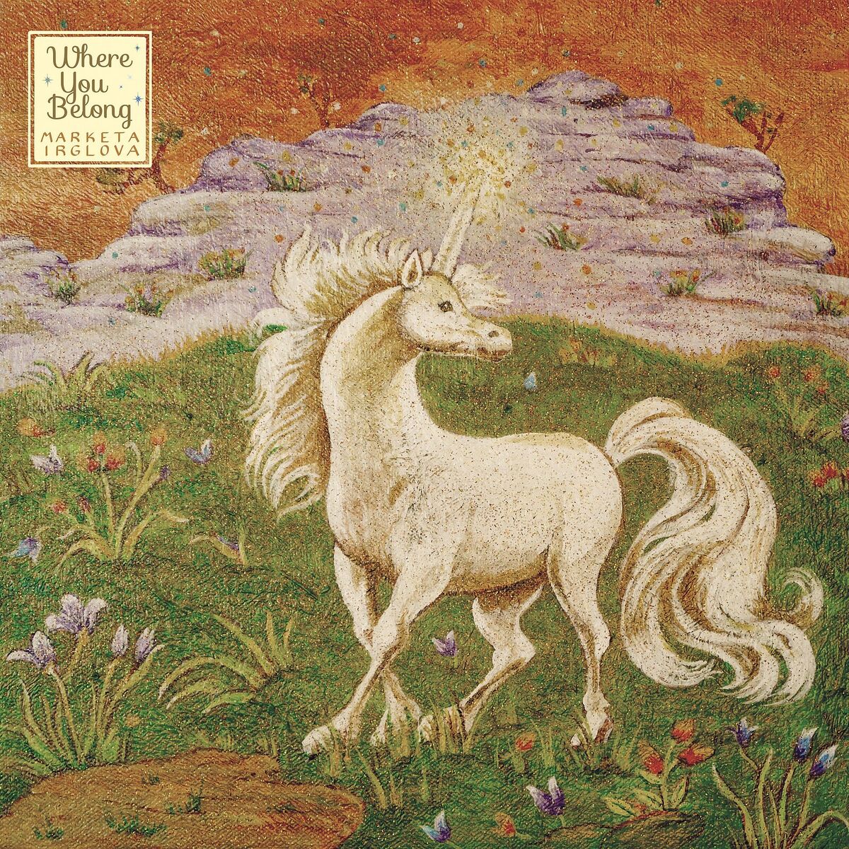 Album cover of Where You Belong