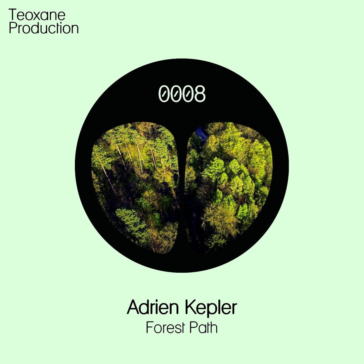 Album cover of Forest Path