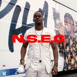 Cover of N.S.E.G.