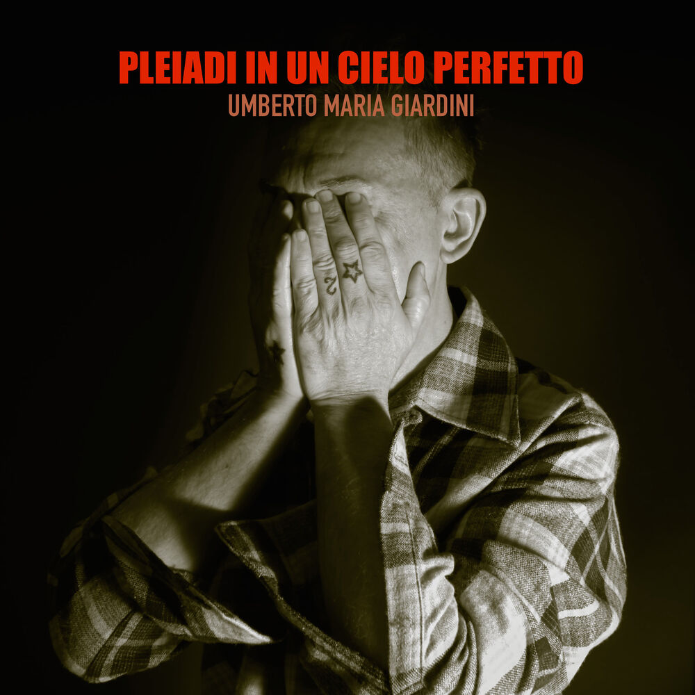 Picture of Pleiadi in un cielo perfetto