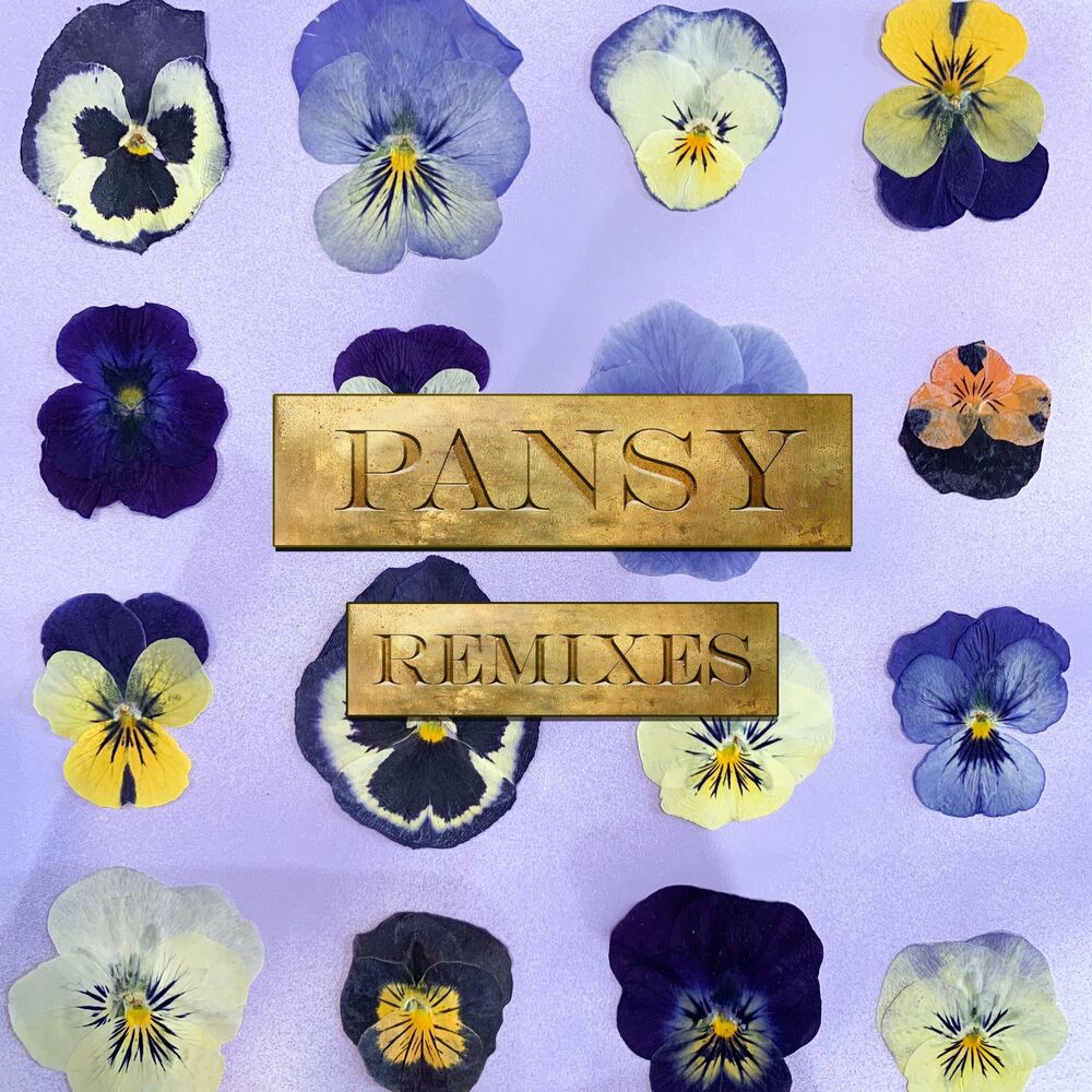 Picture of PANSY Remixes