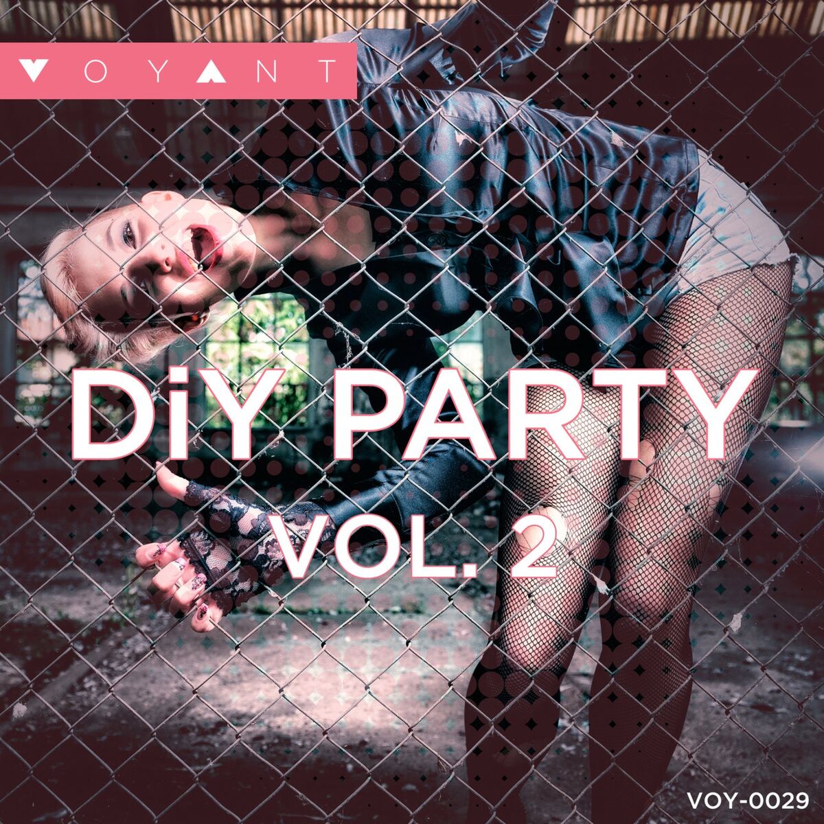Album cover of DIY Party Vol. 2