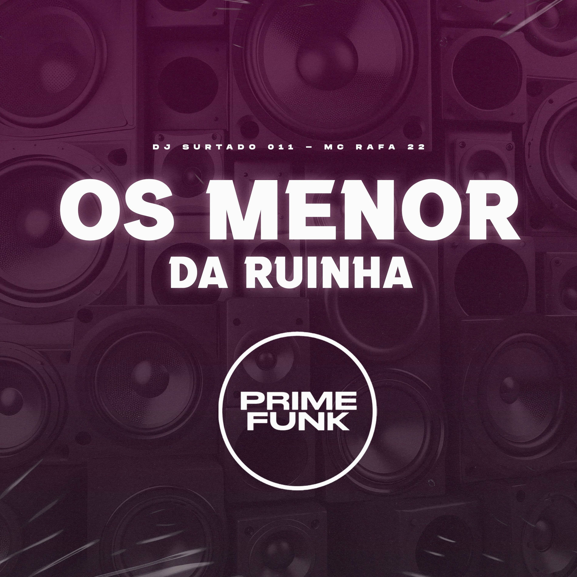 Album cover of Os Menor da Ruinha