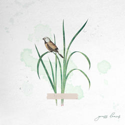 Descargar grass leaves - T.Check MP3