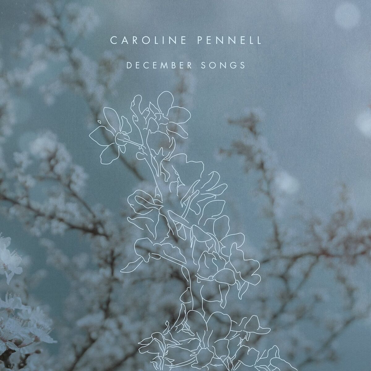 Album cover of December Songs