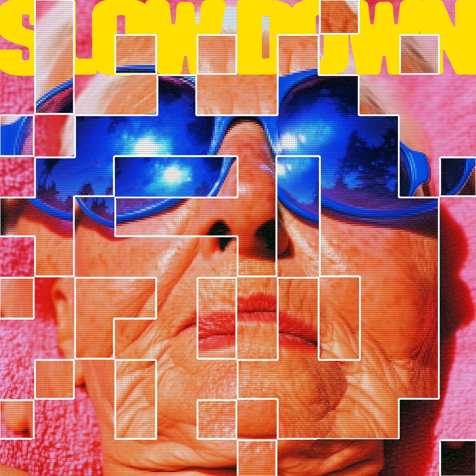 Album cover of Slow Down