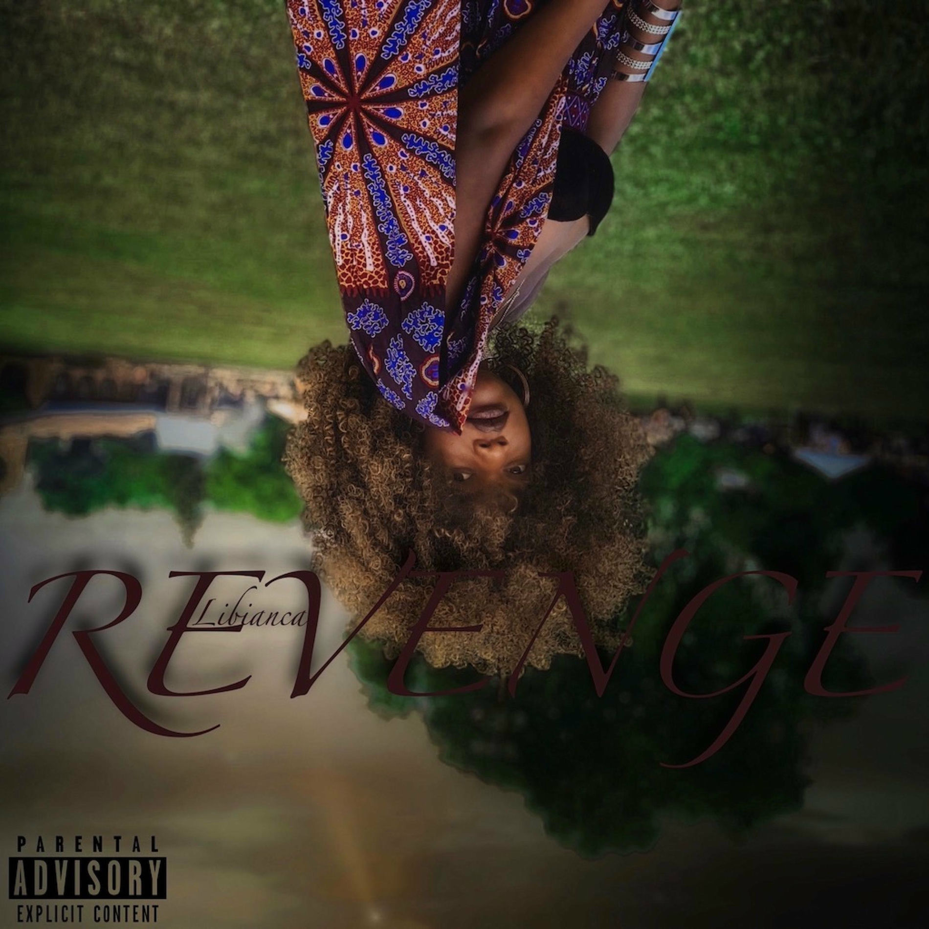 Album cover of Revenge