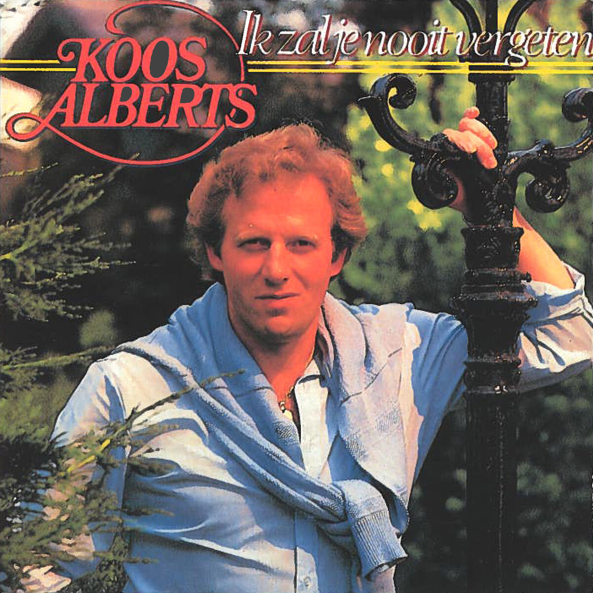 Album cover of Ik Zal Je Nooit Vergeten