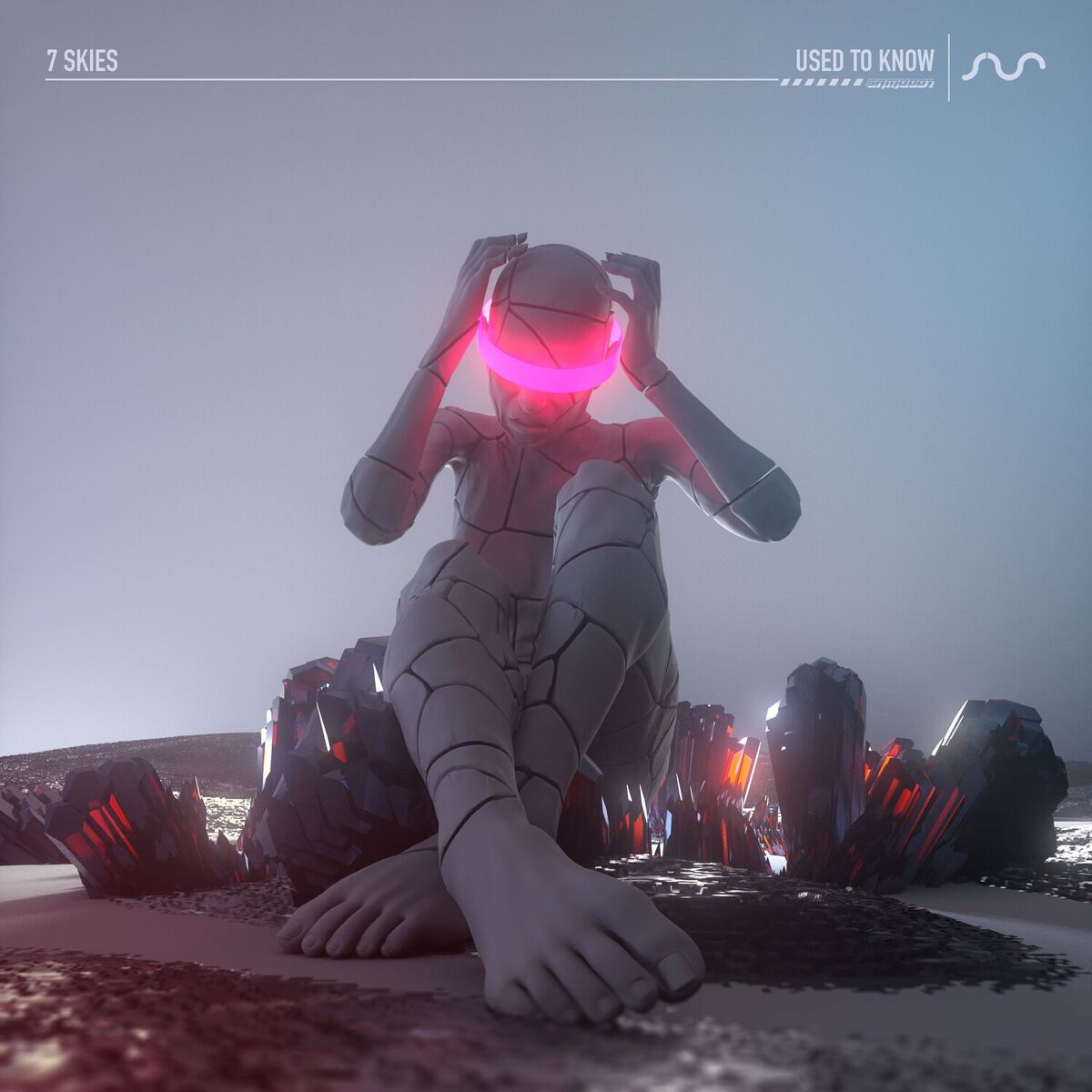 Album cover of Used to Know